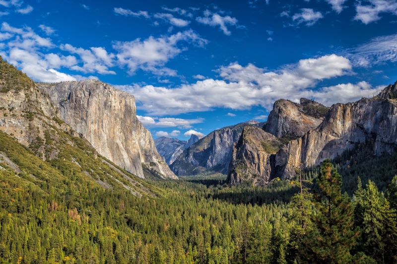 SAN FRANCISCO – FRESNO – LOS ANGELES CÔNG VIÊN QUỐC GIA YOSEMITE Du Lịch Mỹ-2